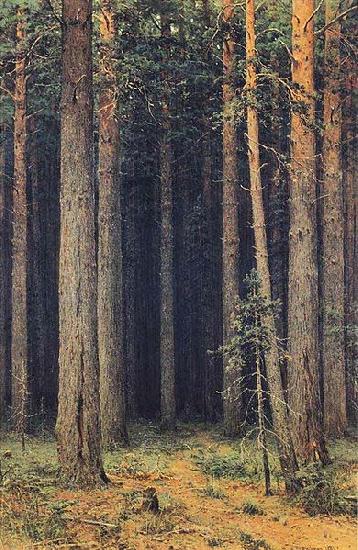 Ivan Shishkin Forest Reserve, Pine Grove